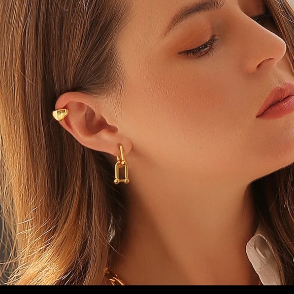 14k Chain Link Earrings - Picture 3 of 3